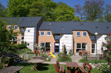 En række af de mellemstore huse i bofællesskabet Væksthuset