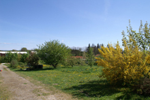 'Marken' - et af bofællesskabet Væksthusets fælles udendørs områder